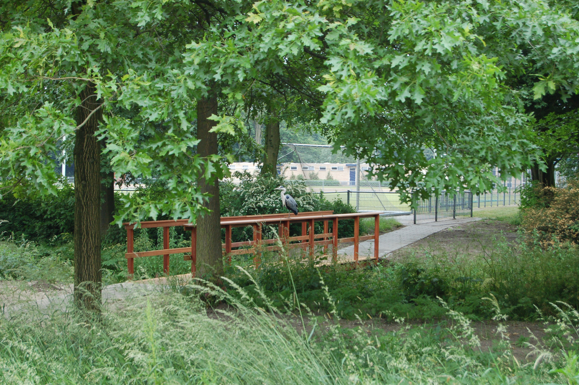 Natuurinclusieve sportlocaties - Foto Guy Oldenkotte